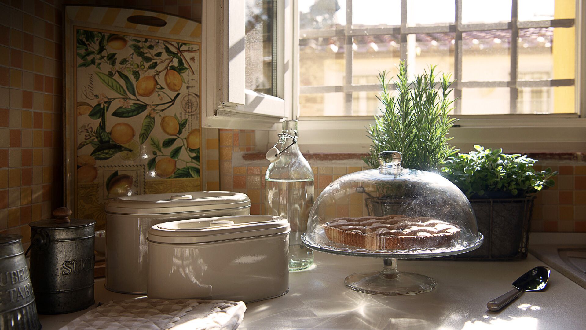 Una encimera de cocina con recipientes de almacenamiento, una botella de vidrio, una planta y un pastelero con tapa.