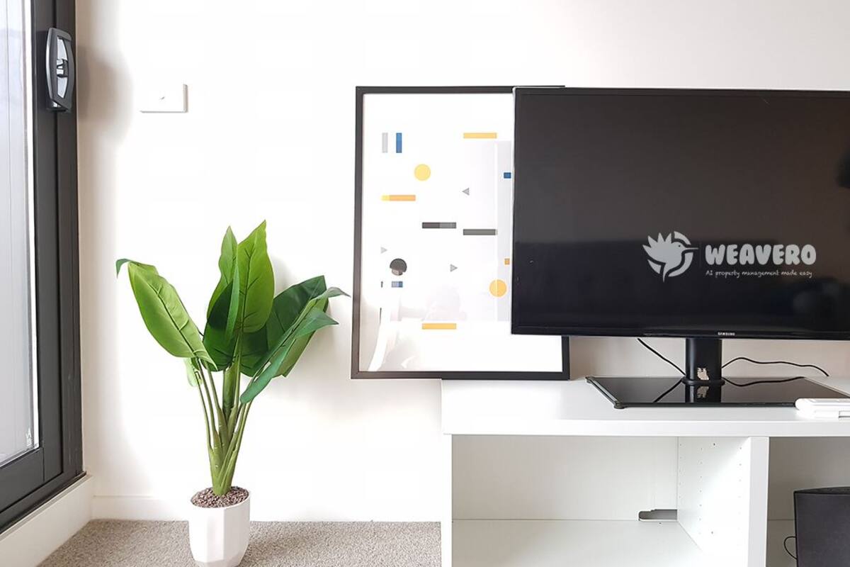 Flat-screen TV