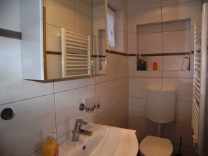 Shower, soap, toilet paper