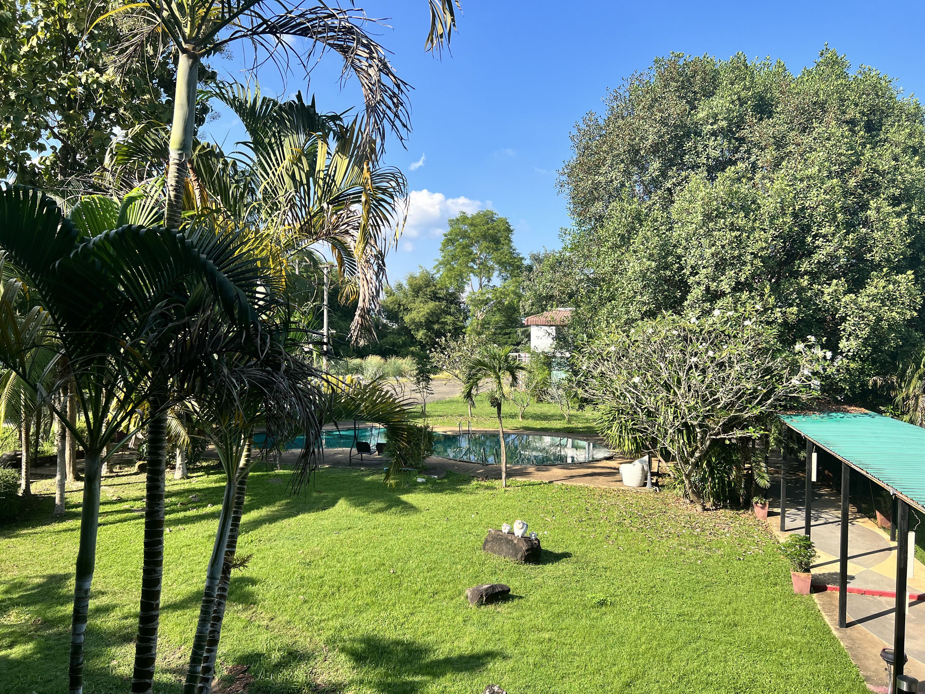Vista desde la habitación