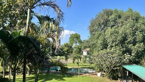 A lush garden with a pool, palm trees, and a gazebo.
