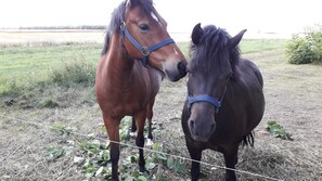 Nicht klassifiziertes Bild, 2 von 10, Schaltfläche