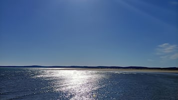 Vlak bij het strand