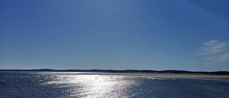 Tæt på stranden
