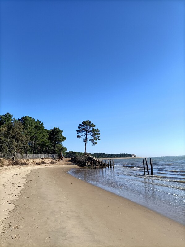 Beach nearby - ILE D'OLERON PLAGE DE VERT BOIS (Dolus-d'Oléron)