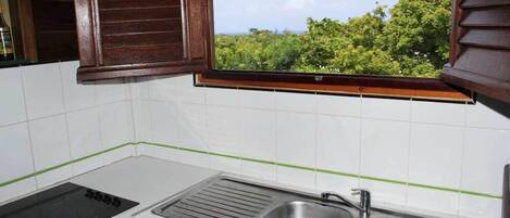 A kitchen with a window, a sink, and a stovetop.