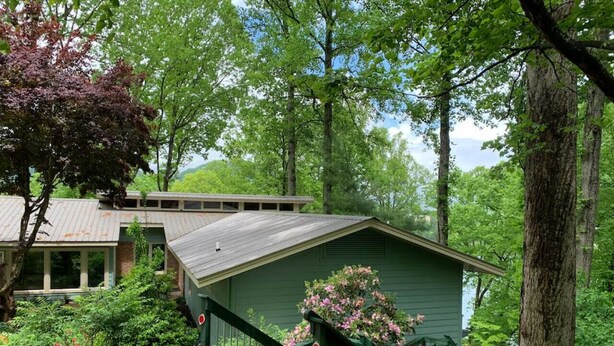 A green shed with a staircase, surrounded by dense greenery and trees. - Lone Star Retreat # 1-10 min to Waynesville & BR Pkwy-25 min to Biltmore Estate (Lake Junaluska)
