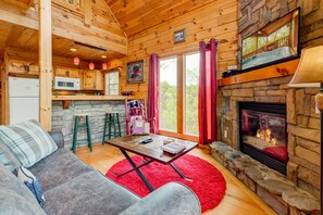 TV, fireplace
