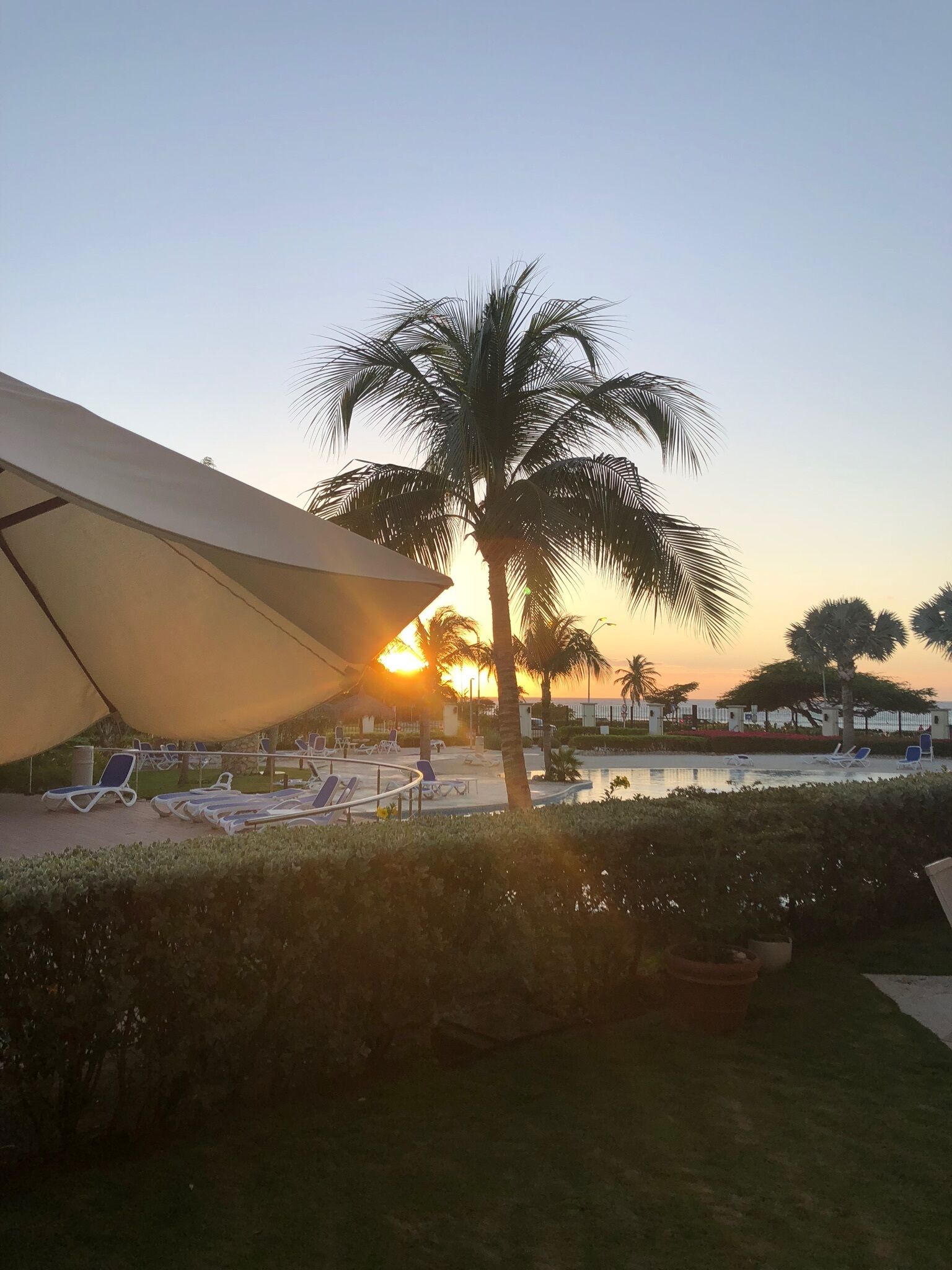 Área à beira da piscina com espreguiçadeiras e uma palmeira, com o sol se pondo ao fundo.