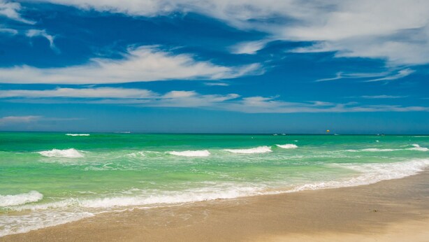 A beach with clear turquoise water and a sandy shore. -  Paradise Cove -- A perfect Beach Getaway (Bradenton)