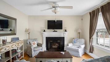 TV, fireplace, DVD player, books