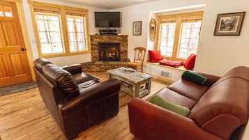 TV connectée, cheminée, lecteur de DVD, chaßne hi-fi