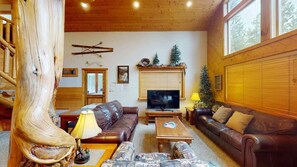 Télévision, cheminée, espaces bureaux