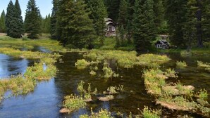 Une cabane entourée d’une forêt dense et bordée d’une rivière paisible.
