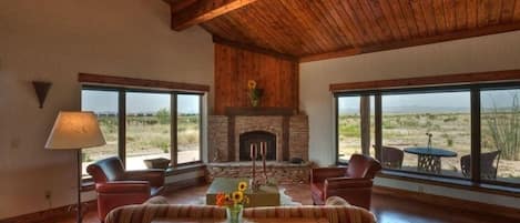 Smart TV, fireplace, books