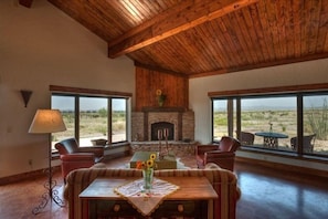 Smart TV, fireplace, books