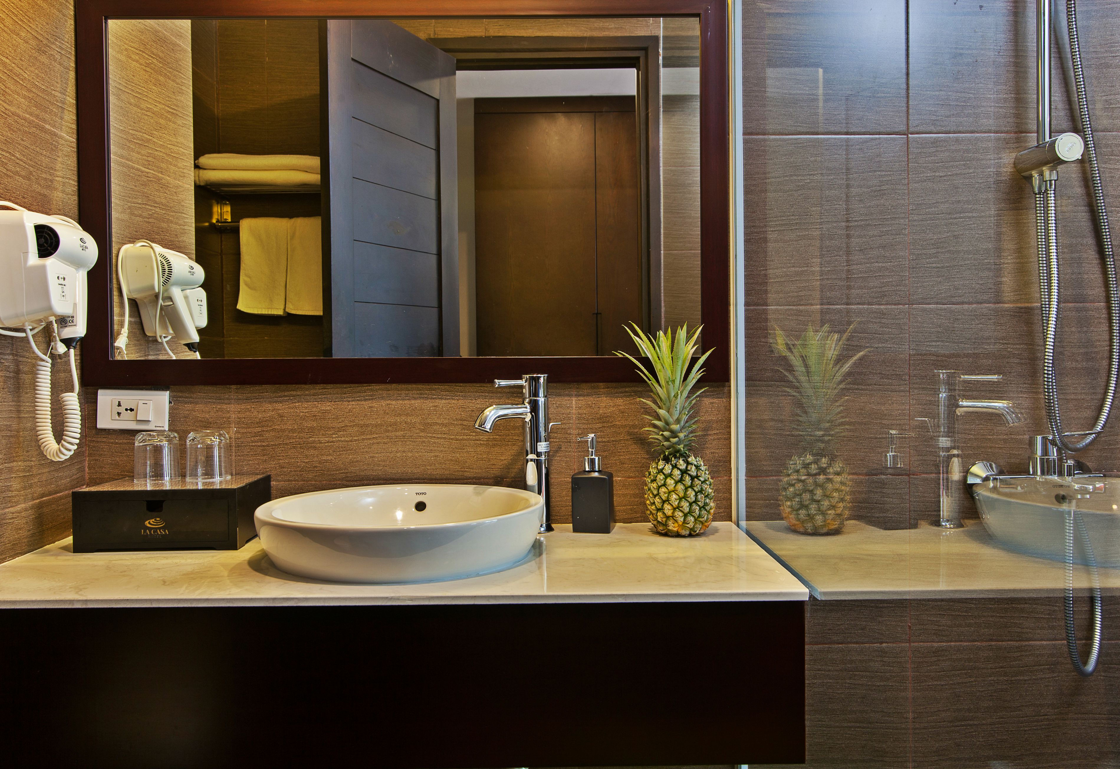 separate bathtub and shower, hydromassage showerhead