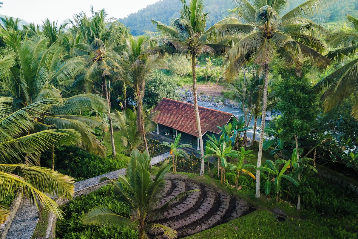 Un paisaje tropical con una casa tradicional rodeada de abundante vegetación y palmeras.