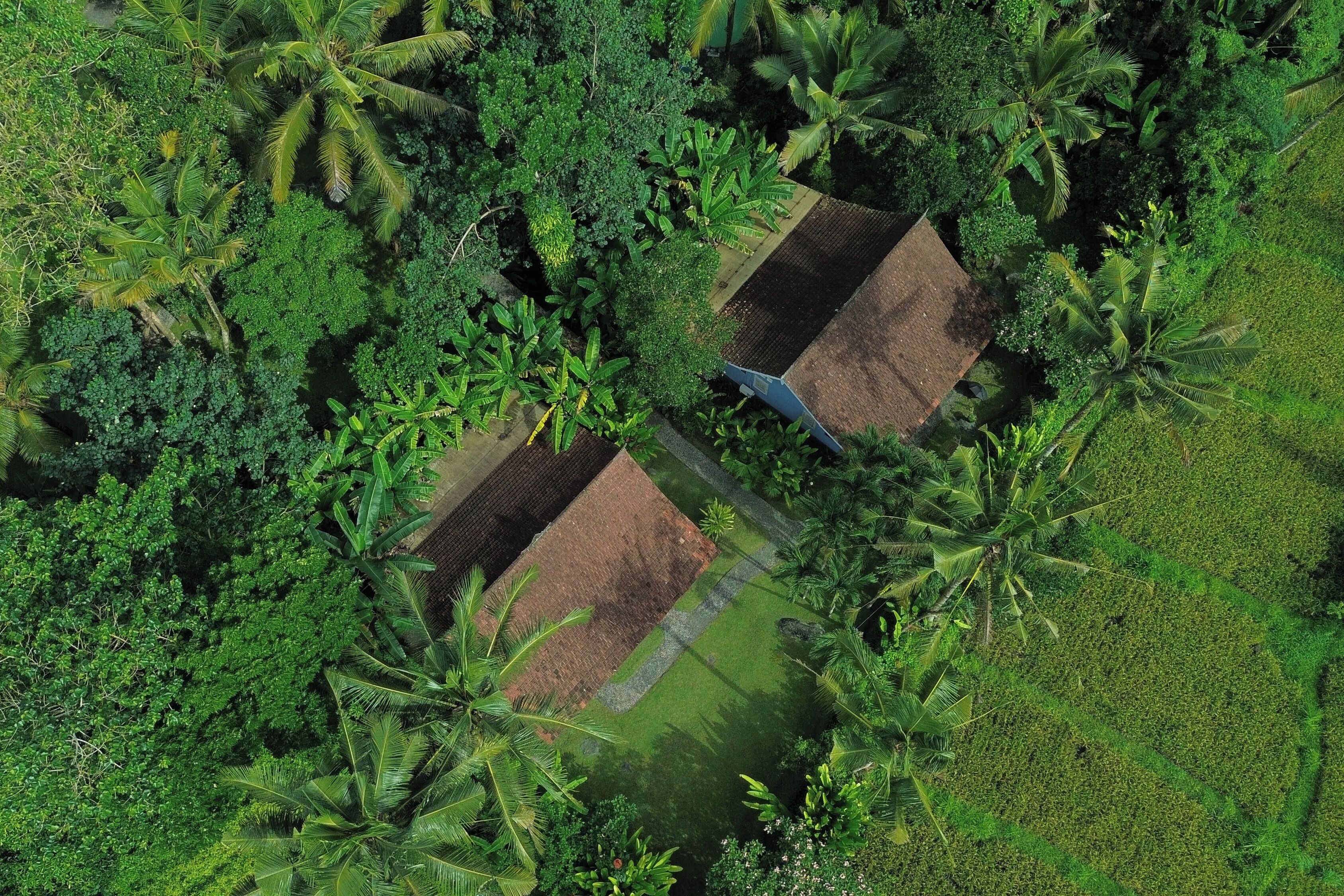 Chambre Confort | Wi-Fi gratuit, draps fournis