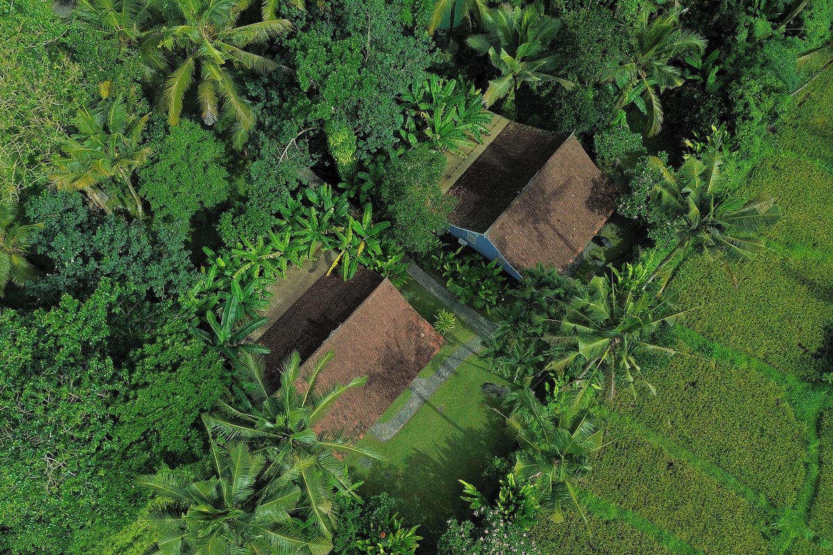 Vista aérea de un paisaje exuberante y verde con vegetación densa y algunas zonas despejadas.