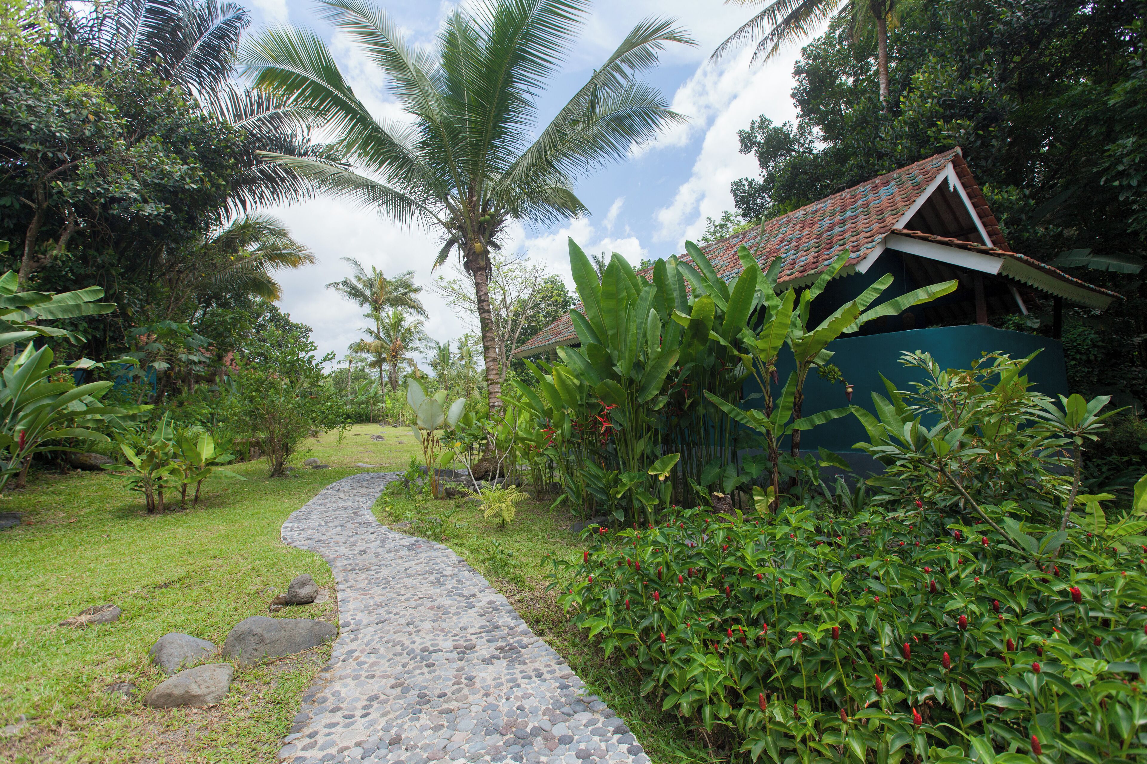 A pathway leading to a traditional house surrounded by lush greenery and a palm tree.