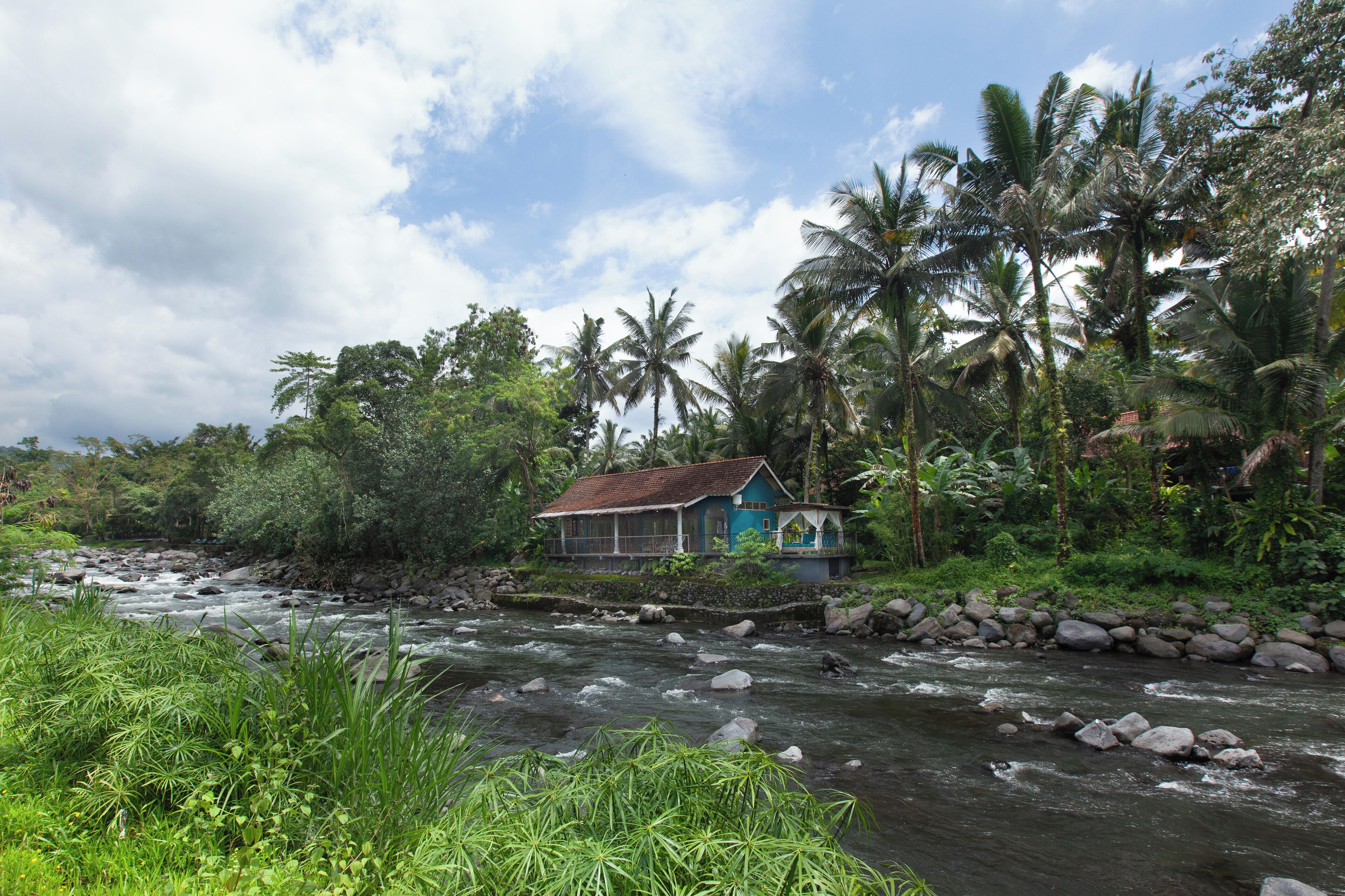A house by a river surrounded by lush greenery and palm trees.