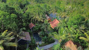Vista aérea de un resort tropical con varias construcciones tipo bungalow rodeadas de abundante vegetación y palmeras.