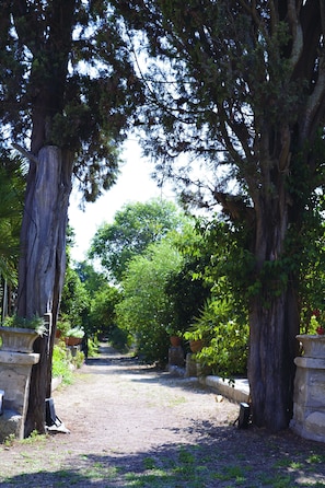 Exterior - Villa Spada Donadeo (Lequile)