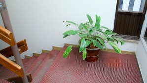 Unclassified image, 3 of 39, button - Plaza Hotel (Addis Ababa)