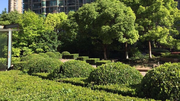 A modern high-rise building with multiple balconies and a well-maintained park area with trees and bushes. - Shanghai Yuelai Guest House - Hostel (Shanghai)