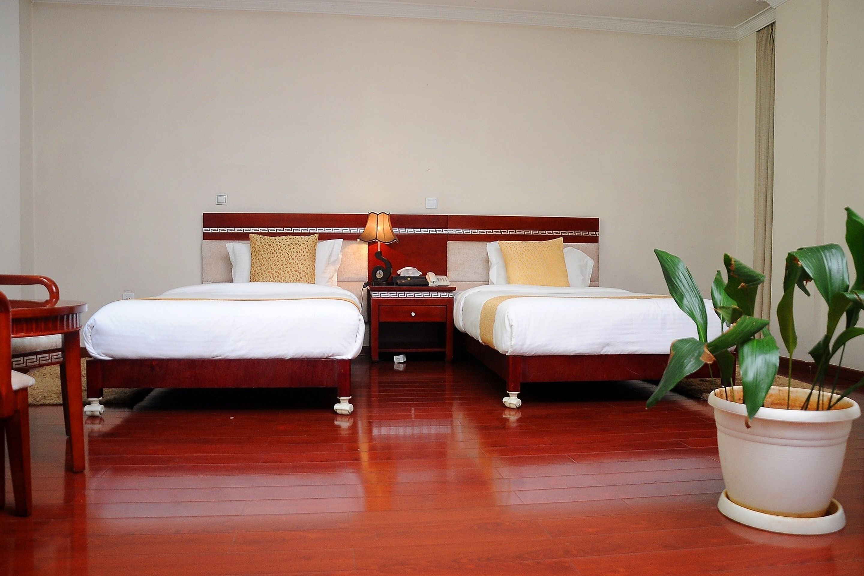 Habitación de hotel con dos camas, suelo de madera, una mesita de noche con lámpara y una planta en maceta.