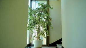 未分類圖片，第 4 張 (共 55 張)，按鈕