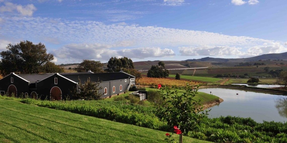 Luxury Suite | View from room