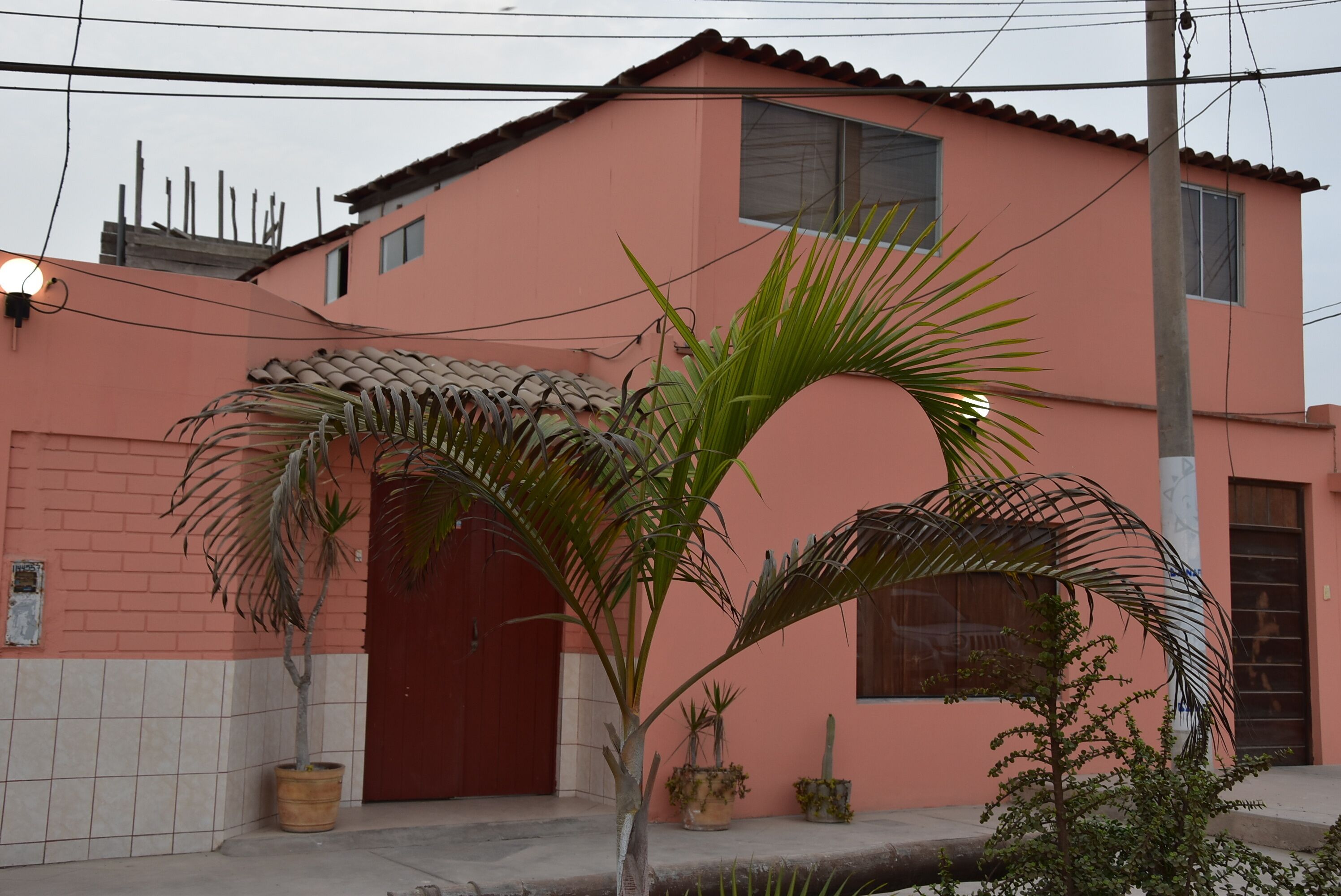 Un edificio rosa con puerta roja, plantas en macetas y un poste de electricidad.