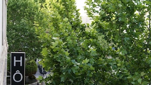 Une enseigne d’hôtel avec le mot « HÔTEL » et une vue sur une rue bordée d’arbres.