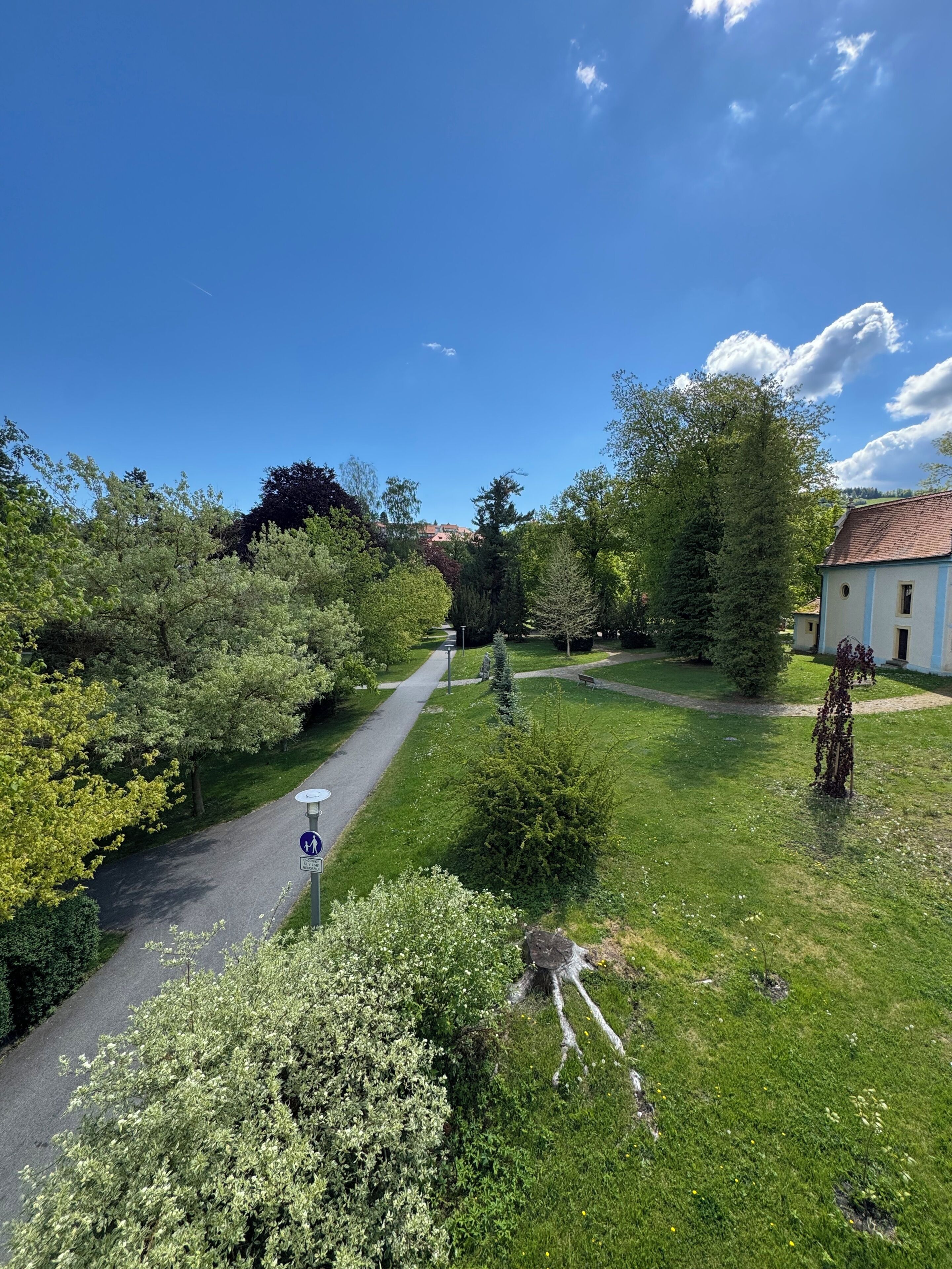 Un sendero que atraviesa un área verde con árboles y un edificio al fondo.
