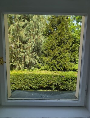 Deluxe Apartment (1) | View from room - Villa Wurmfeld (Cesky Krumlov)