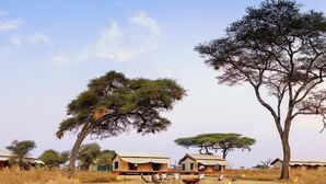 Ein Safarilodge mit offenen Zimmern, einem Lagerfeuer und Blick auf die Savanne.