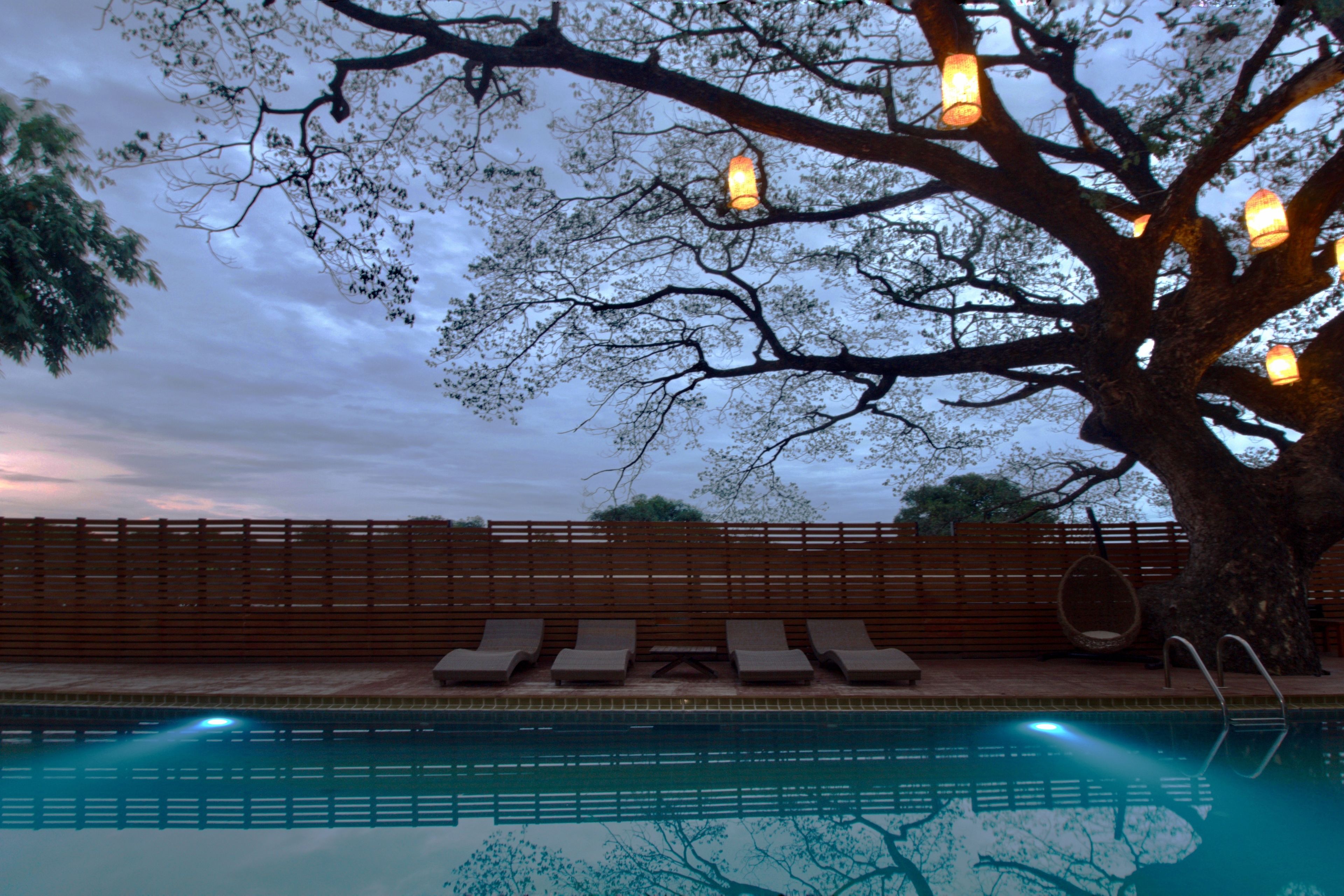 Zona de piscina con sillones de descanso y un gran árbol con luces colgantes.