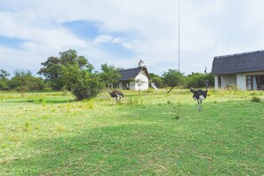 Property grounds - Deruxa Cottages (De Wagensdrift)