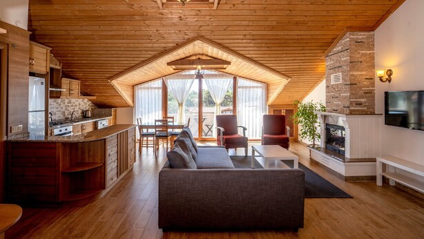 Un vaste espace de vie doté d’un plafond en bois, d’un canapé, d’une télévision et d’une cheminée.