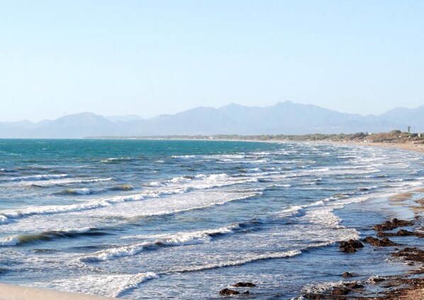 Plage privée, chaises longues, parasols, beach-volley