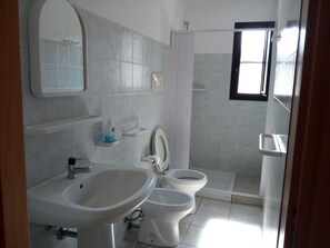 Shower, hair dryer, bidet