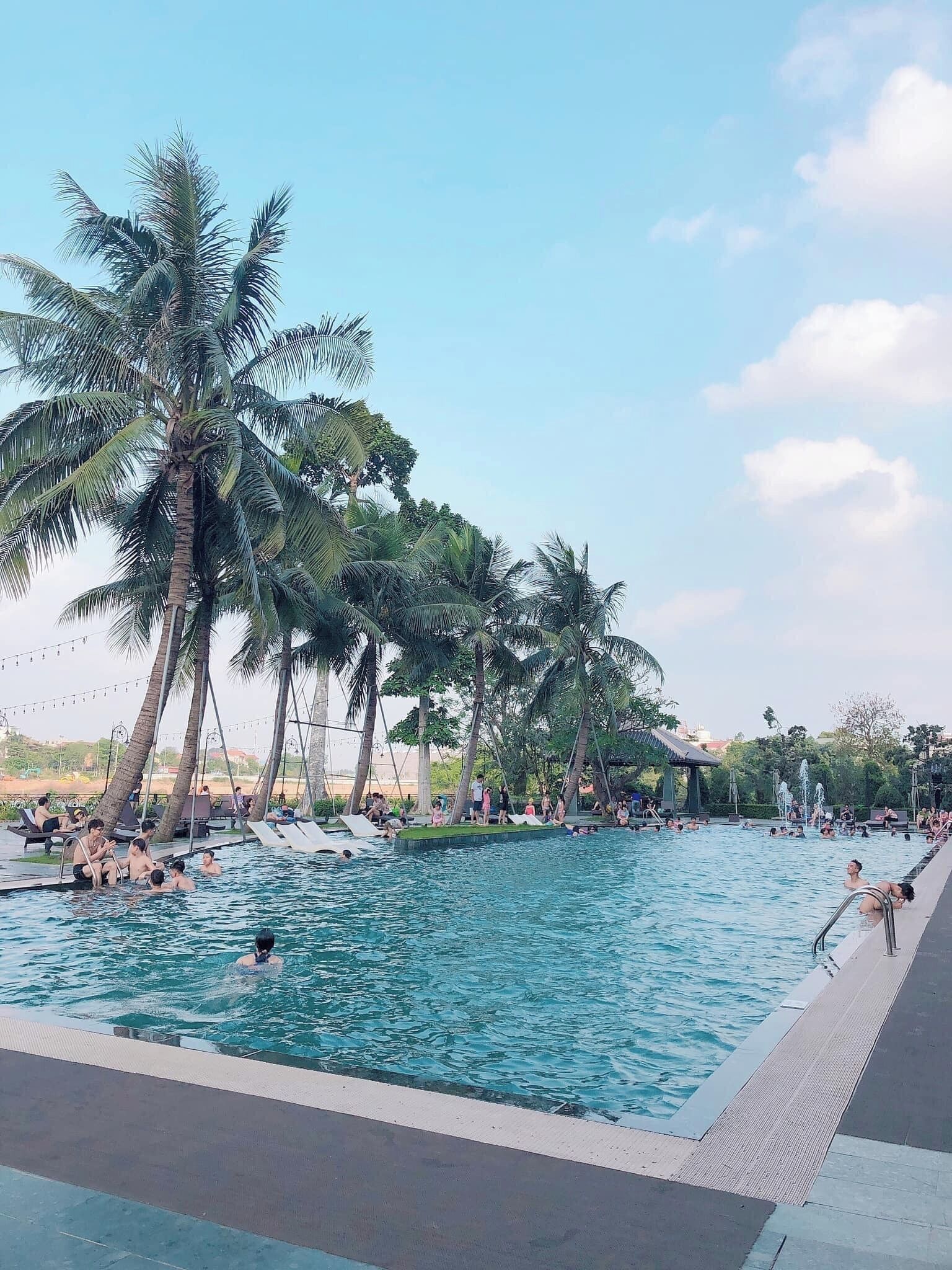 A swimming pool surrounded by palm trees, with people swimming and relaxing.