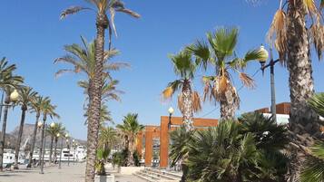 Un paseo marítimo con palmeras, farolas y un edificio con un arco característico.
