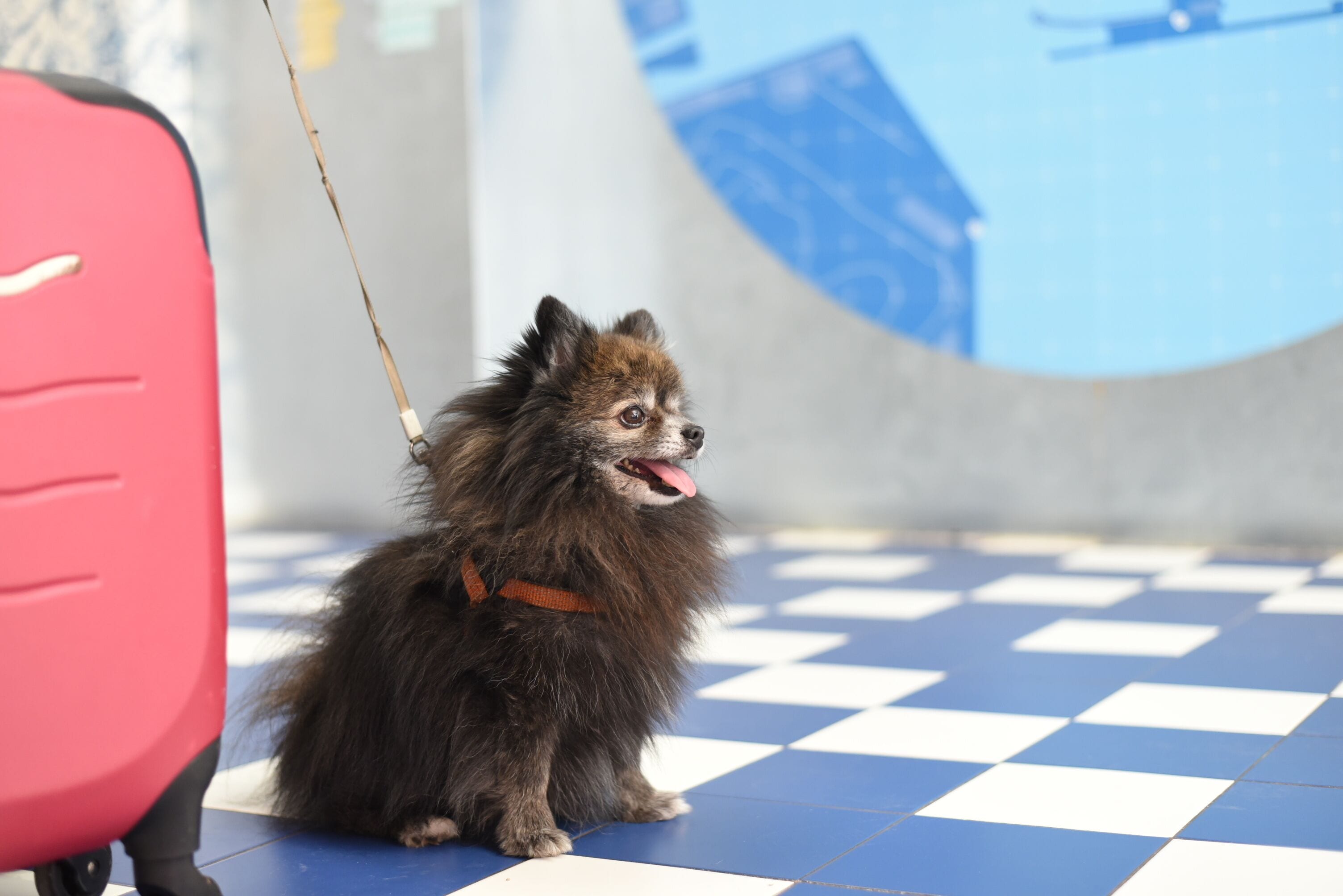 Foto - Loop INN Hostel Cartagena