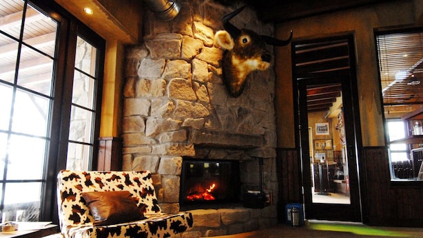 A cozy room with a stone fireplace, a cowhide-patterned sofa, and a large window.