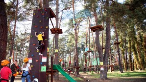 Una pared de escalada con presas de distintos colores, rodeada de árboles en una zona boscosa.