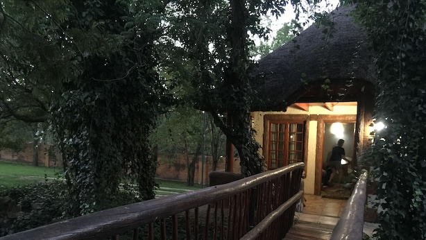 Una terraza de madera que conduce a un edificio con techo de paja, rodeado de follaje.