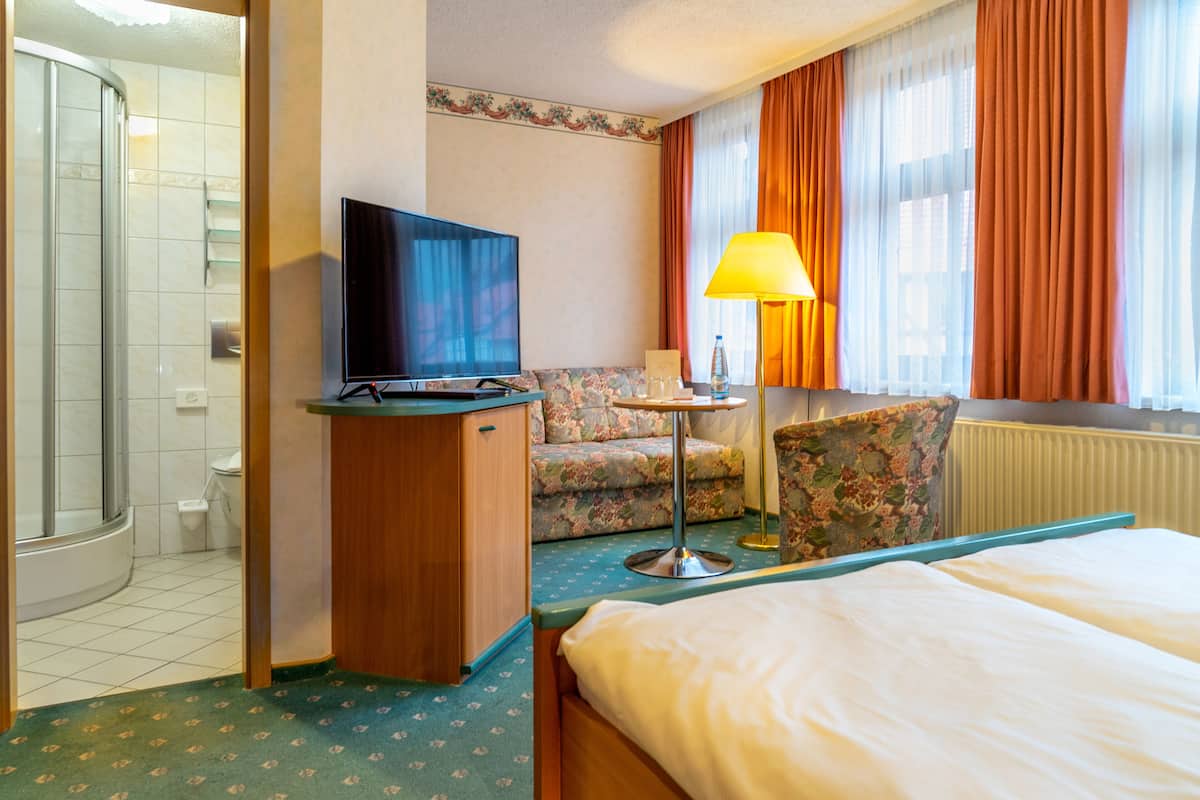 A hotel room with a bed, a television, a sofa, a small table, and a shower area.